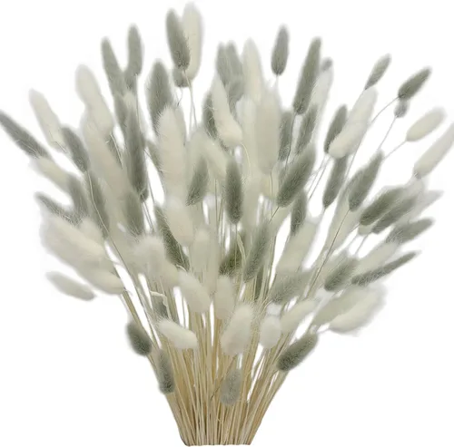 Vista 13 de 60 piezas Flores de Cola de Conejo Secas Hierba Negra de las Pampas Arreglo Floral Natural Seco Flores Secas para Halloween Navidad Decoración Boho