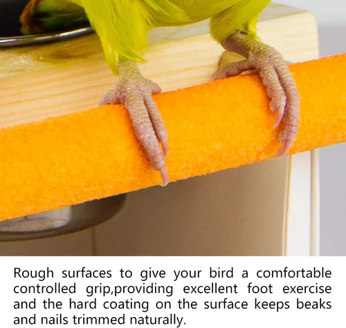 Vista 5 de Juguete de espejo de loro con tazas de alimentación de acero inoxidable, marcos de madera para pájaros con perca de jaula para periquitos pequeños