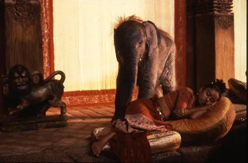 Vista 7 de Little Buddha Blu-ray