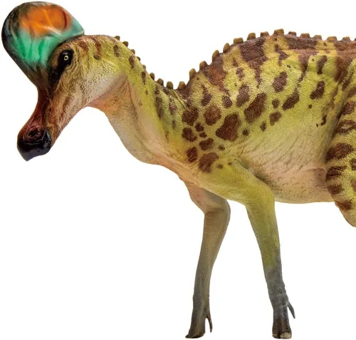 Vista 16 de PNSO- Series de dinosaurios de museos y modelos de animales prehistóricos.