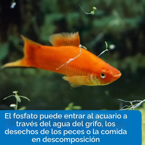 Vista 6 de API Kit de prueba de fosfato para agua dulce y salada, 64 onzas