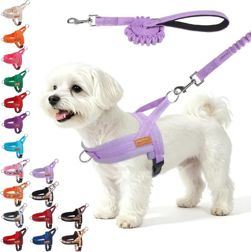 Vista 47 de BEAUTYZOO Arnés para Perros Pequeños, Juego de Arnés y Correa sin Tirones, Arnés de Pecho para Cachorros a Prueba de Escapes con Mango, Arnés Beige
