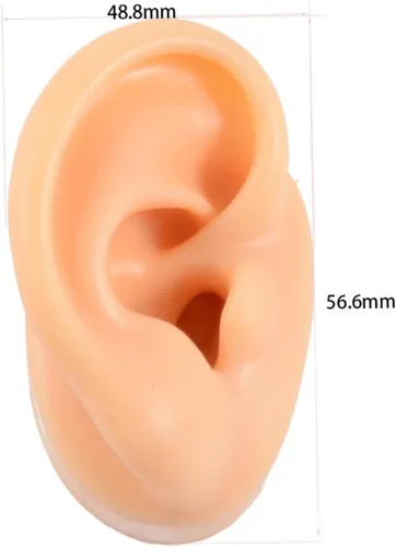 Vista 7 de Abaodam 4 pcs ear model ear piercing jewelry tuile molds silicone molde de para resina manikin Ear Studs Display Props fake ear maniquine Simulation