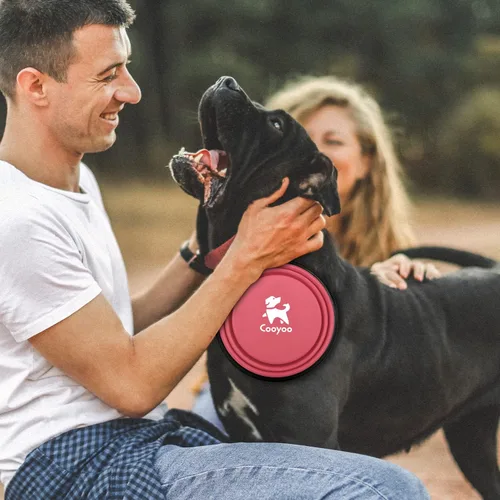 Vista 86 de COOYOO Cuenco plegable para perros, paquete de 2 cuencos plegables para agua para perros y gatos, plato portátil para alimentación de mascotas
