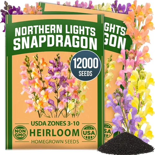Vista 23 de HOME GROWN Semillas de Hollyhock de doble mezcla de Chater, 200 semillas