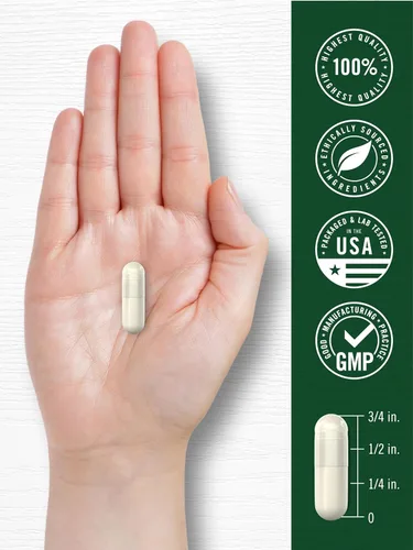 Vista 7 de Carlyle Extracto de hoja de gordolobo 200 cápsulas Verbascum Thapsus Suplemento sin OMG, sin gluten
