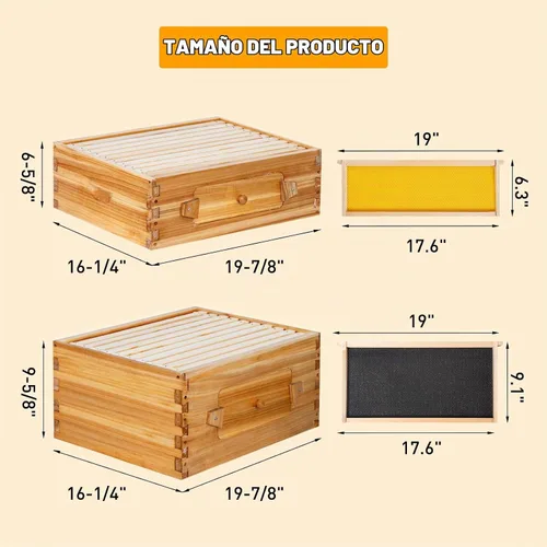 Vista 4 de BeeCastle Colmena Langstroth de 10 marcos con ventanas, colmena de abejas recubierta con cera de abejas para principiantes con marcos de colmena