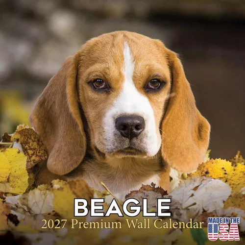 Vista 189 de Calendario de Lebrel Afgano 2025 2026, calendario mensual de pared de raza canina, 12" x 18" abierto, papel grueso sin traspaso, ideal para regalo