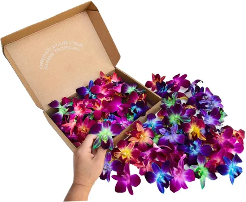 Vista 9 de Miami Fresh Orchid Flores perecederas de floración suelta OrchidClub USA Sunne Tropical DIY lei, decoración de alimentos y bebidas (100 azul)