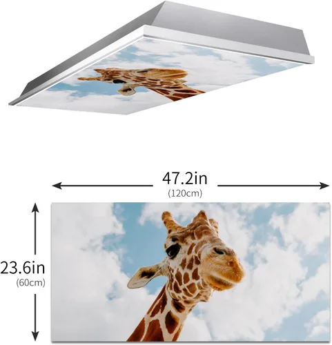 Vista 3 de Cubiertas de luz fluorescente para luces de techo de aula – Película retroiluminada de 2x4 pies para luminarias fluorescentes, fácil de instalar