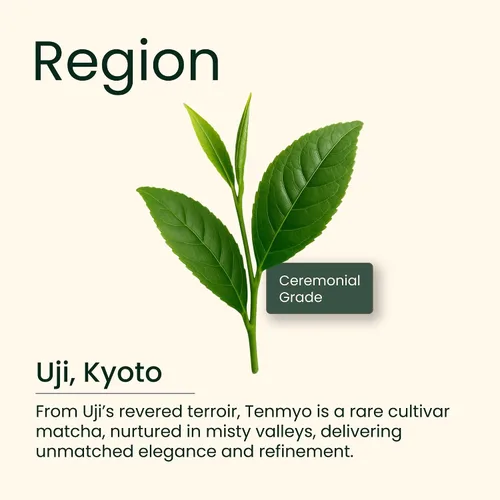 Vista 7 de Heapwell Matcha Ceremonial Grade, Kyoto Uji - 1.06 oz El mejor polvo de té verde japonés AAA Tenmyo Cultivar edición limitada Variedad premium