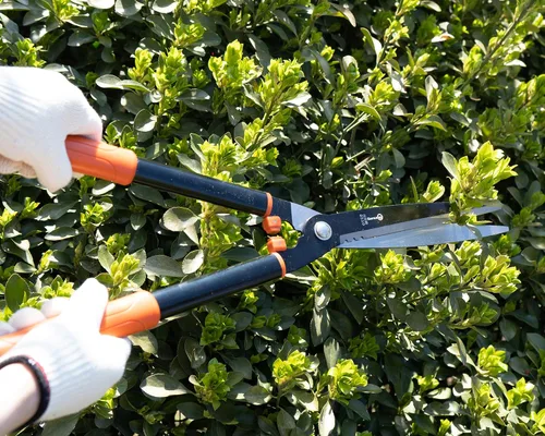Vista 6 de Sanung Tijeras de setos de jardín resistentes con mango de aleación de aluminio 8510, podadora de setos para recortar podas de arbustos pequeños