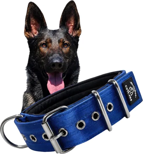 Vista 11 de SparkDog - Collar de perro resistente de 1.5 pulgadas, correa ajustable de grado de cinturón de seguridad con herrajes de acero inoxidable