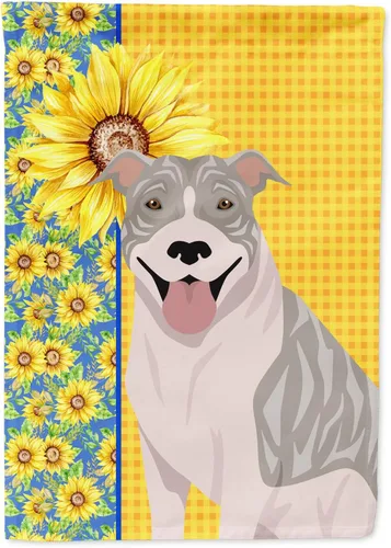 Vista 127 de Caroline's Treasures WDK5313GF Bandera de jardín con diseño de girasoles de verano, color negro y tostado, Airedale Terrier para buzón, bandera