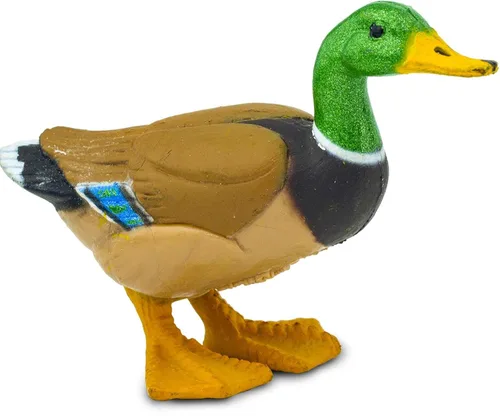 Vista 7 de Safari Ltd. Figura de pato real pintada a mano, realista de 3 pulgadas, juguete educativo divertido para niños, niñas y niños a partir de 3 años