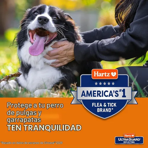 Vista 5 de Shampoo para perros Hartz UltraGuard contra pulgas y garrapatas con avena, botella de 18 onzas