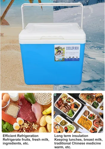 Vista 4 de Enfriador portátil aislado, enfriador duro pequeño de 10 litros con asa, a prueba de fugas, lonchera aislada al aire libre para picnic, campamento