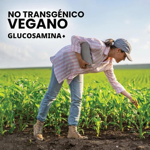 Vista 5 de BlueBonnet Suplemento vegetariano de glucosamina Plus MSM, 120 unidades ('743715011151)