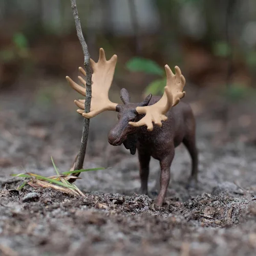 Vista 2 de Safari Ltd. Figura de alce – Figura de animal realista de 5 pulgadas – Juguete educativo para niños, niñas y niños a partir de 1 año