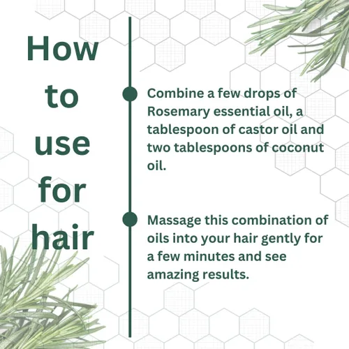 Vista 3 de Pure Essential Oil 50 ml de romero (Rosmarinus officinalis) 100% Natural