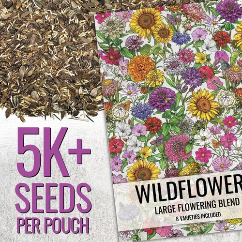 Vista 2 de Seed Needs Semillas de flores de jardín, flores grandes, mezcla de colibrí y mariposa, 1 onza sin relleno, 7 variedades de polinización abierta