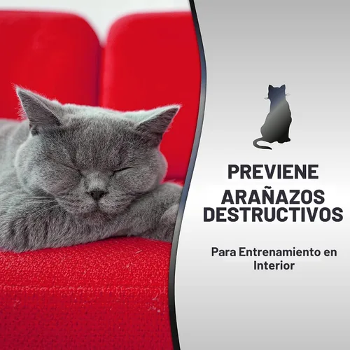 Vista 3 de Nature's Miracle Advanced Platinum Spray Disuasorio de Arañazos para Gatos, 8 Onzas, Desalienta los Arañazos Destructivos