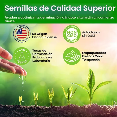 Vista 7 de NatureZ Edge Semillas de flores silvestres, 1/2 libra, 340,000 semillas, 35 variedades de semillas de flores perennes y anuales para plantar