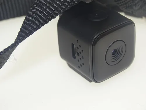 Vista 9 de Monitor del grabador de vídeo de la cámara DVR del collar del animal doméstico de Digitaces para el cachorro del gato