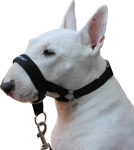 Vista 2 de Collar con bozal para perro, color azul , negro