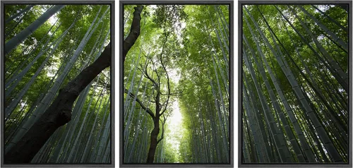 Vista 39 de wall26 Lienzo enmarcado para pared, juego de arte debajo de los tallos de bambú verde, naturaleza, desierto, fotografía, realismo, contemporáneo