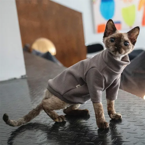 Vista 4 de Ropa de gatos sin pelo, camiseta de algodón, chaleco transpirable para primavera y otoño, ropa de gato con cuello alto para Sphynx, Cornish Rex