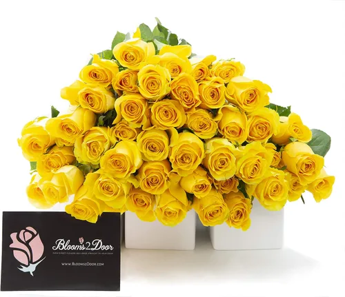 Vista 15 de Blooms2Door - 25 Rosas Rosadas (Fresco - 19.7 in) - Flores Frescas para Cumpleaños, San Valentín y Día de la Madre