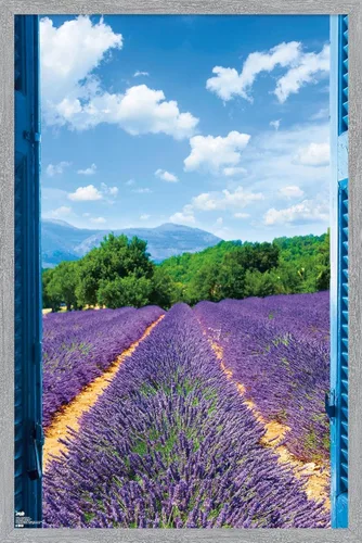Vista 12 de Trends International Póster de pared de campo de lavanda, 14.725 x 22.375 pulgadas, versión enmarcada de madera de granero Versión enmarcada Barnwood