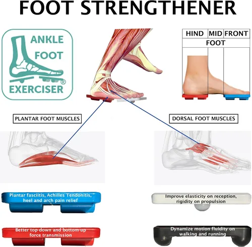 Vista 4 de Ankle Foot Exerciser® Fortalecedor de tobillo para alivio del esguince de tobillo, fortalecedor de pies para fascitis plantar; movilidad de tobillo