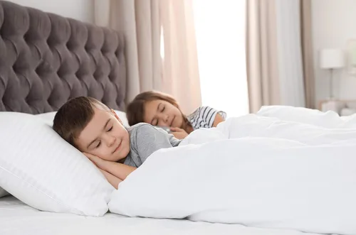 Vista 5 de Nestl Bedding - Juego de 3 piezas de edredón de microfibra con fundas de almohada