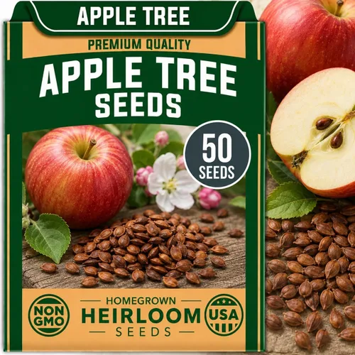 Vista 15 de CZ Grain Semillas para plantar, 40 pequeñas mezclas de calabaza