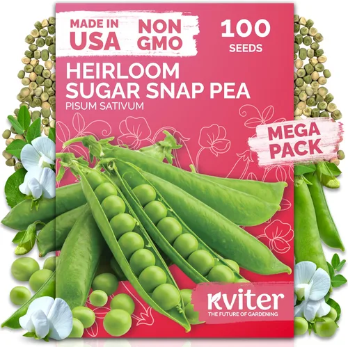 Vista 30 de KVITER 3000 semillas de espinaca egipcias - Molokhia (Corchorus Olitorius) - Hojas de yute, Ewedu, Día de Rau, Semillas de vegetales Saluyot