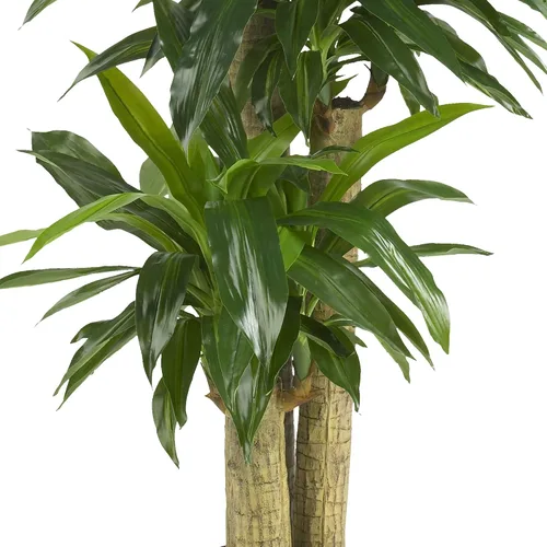 Vista 4 de Nearly Natural 6584 planta artificial decorativa de seda de dracaena fragrans, color verde