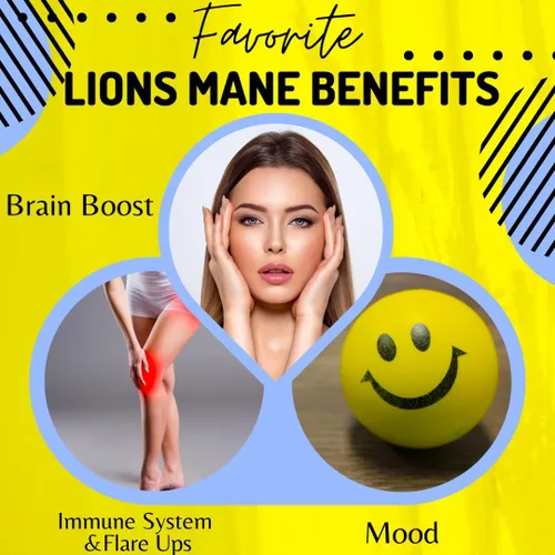 Vista 2 de BioImmune Cápsulas orgánicas de suplemento de melena de leones 120 cápsulas con Patent Litropane™ Immune System Booster Suplemento de hongos