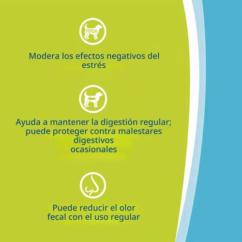 Vista 4 de Van Beek Natural Science Synacore Canine - Fórmula totalmente natural para proporcionar apoyo inmunológico a los perros y ayudar a mantener la salud