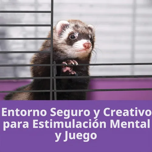 Vista 5 de Mi primera casa Kaytee, multinivel, hogar de lujo para mascotas, con ruedas