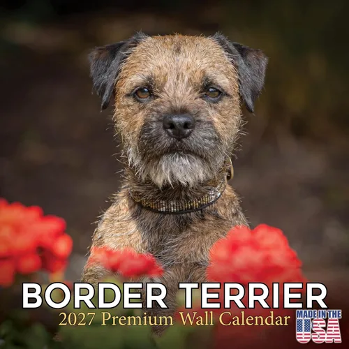 Vista 87 de Calendario de Lebrel Afgano 2025 2026, calendario mensual de pared de raza canina, 12" x 18" abierto, papel grueso sin traspaso, ideal para regalo