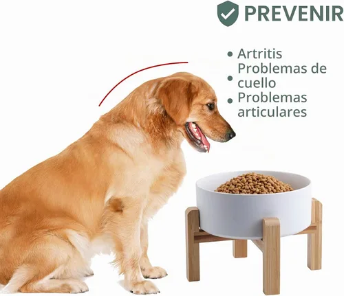 Vista 4 de Cuenco de cerámica elevado o elevado para perros de razas pequeñas y medianas, cuenco de agua con soporte, plato de alimentación de mascotas pesado