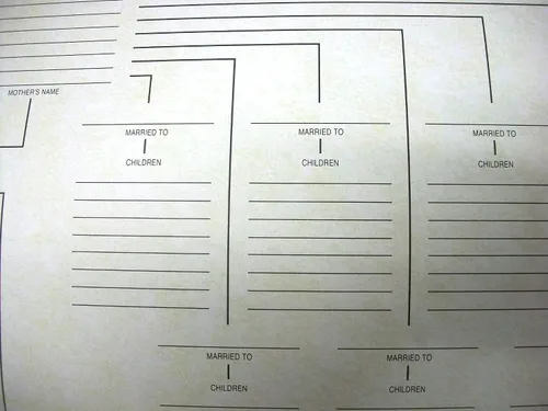 Vista 4 de Genealogía de Gráfico de Árbol Geneal