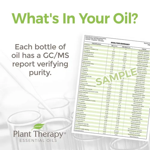 Vista 4 de Plant Therapy KidSafe A+ Attention Aceite esencial sinergético prediluido. Mezcla de: Petitgrain, Bergamota, cedro del Atlas, toronja, lavanda