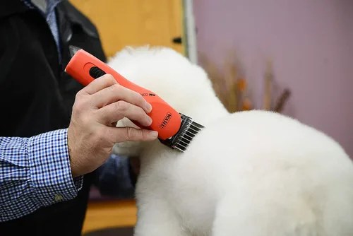 Vista 4 de Peine Wahl Animal N.° 5 inoxidable profesional 1/8 de pulgada N.° 3371, 100