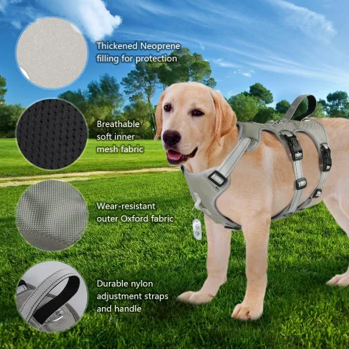 Vista 6 de FEimaX Arnés para perro sin tirones, chaleco acolchado suave para perro con 3 clips para la correa y asa de fácil control, reflectante ajustable sin
