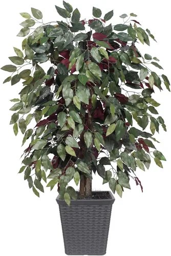 Vista 10 de Vickerman Arbusto artificial Capensia Ficus de 4', contenedor de plástico marrón.