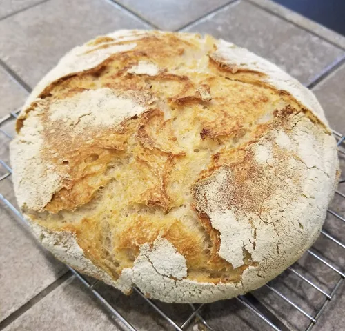 Vista 3 de 100% Einkorn - Iniciador de masa madre deshidratada y seca para hornear pan, sin OMG, iniciador de masa agria, iniciador de pan de masa madura