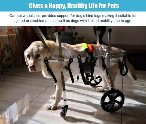 Vista 3 de Silla de ruedas para perros, ayudas de movilidad para mascotas discapacitadas, carrito para silla de ruedas para perros de 4 ruedas, silla de ruedas